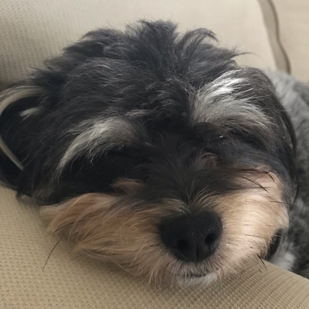 Meet your Posher, Melanie